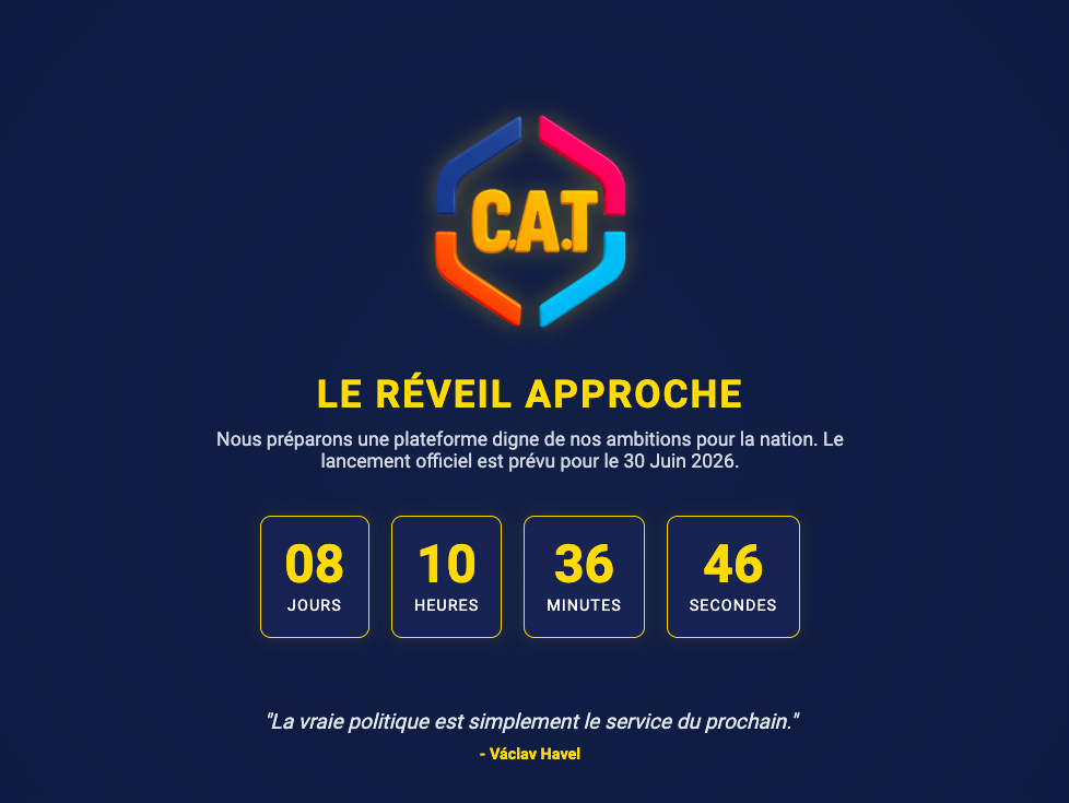 Info Cat
